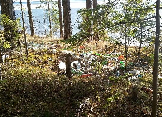 Сельская администрация отказалась вывозить мусор, собранный подростками возле Горьковского водохранилища