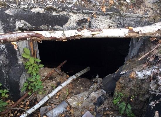 Администрация Дзержинска оштрафована судом за свалку промотходов на заводе «Заря»