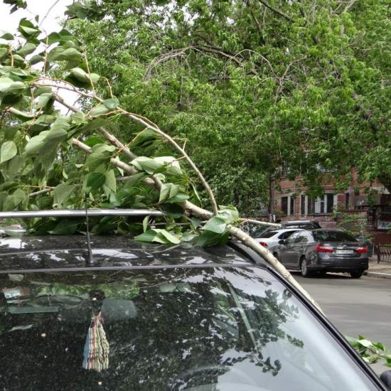 Бригады из девяти регионов помогают ликвидации последствия прохождения грозового фронта в Нижегородской области