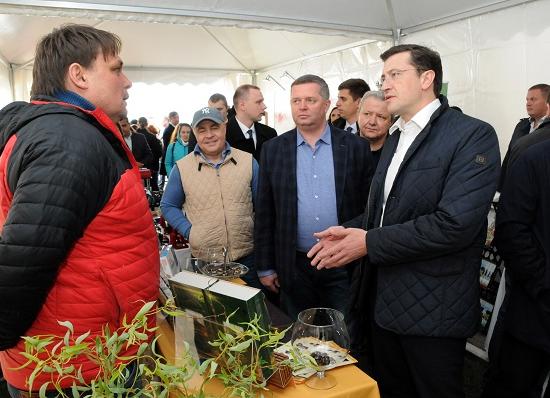 Нижегородская область лидирует в ПФО по обороту и числу занятых в малом бизнесе